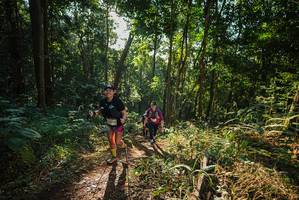 BIB: 
                            <button type="button" onclick="openModal(22544776)" class="btn btn-primary btn-sm float-right btn-popup" data-toggle="modal" data-target=".modal-high-quality">
                        <i class="fas fa-shopping-cart"></i> Add to Cart
                    </button>
                                            <button type="button" onclick="isThisMe(22544776, true)" class="btn btn-success btn-sm float-right btn-popup btn-isme hidden" data-toggle="tooltip" data-placement="bottom" title="นี่คือรูปของคุณใช่ไหม คลิกที่นี่เพื่อเอาเข้าอัลบั้ม">
                        <i class="fas fa-plus"></i> Add to album
                    </button>
                    <button type="button" onclick="isThisMe(22544776, false)" class="btn btn-warning btn-sm float-right btn-popup btn-isnotme hidden">
                        <i class="fas fa-ban"></i> Remove from album
                    </button>